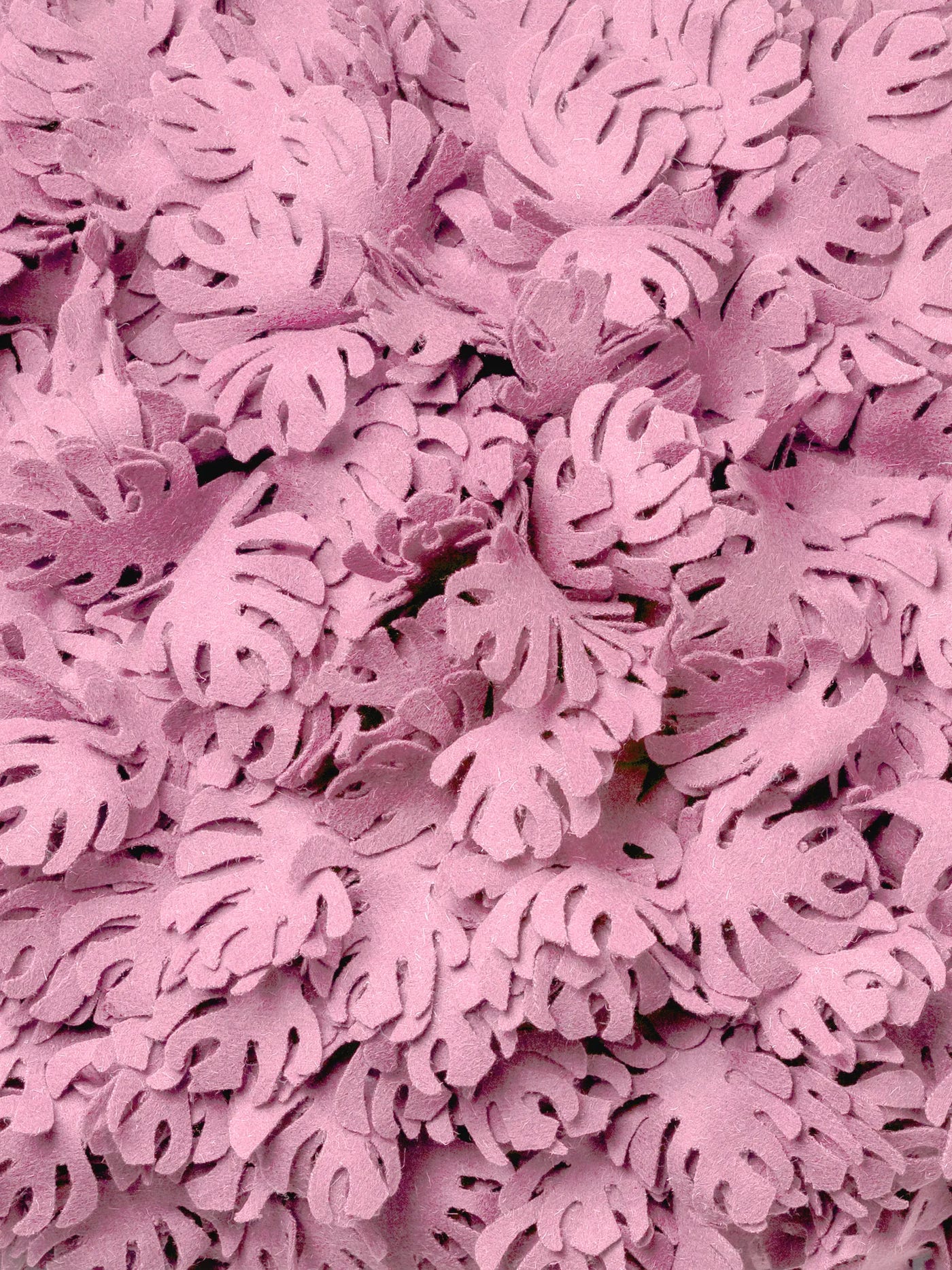 Panel Monstera
