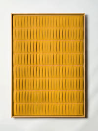 Salinas-Panel