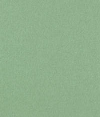 burel-wool-fabric-natural-dyed-botanica-agave-green
