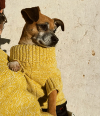 Camisola Pet Rib