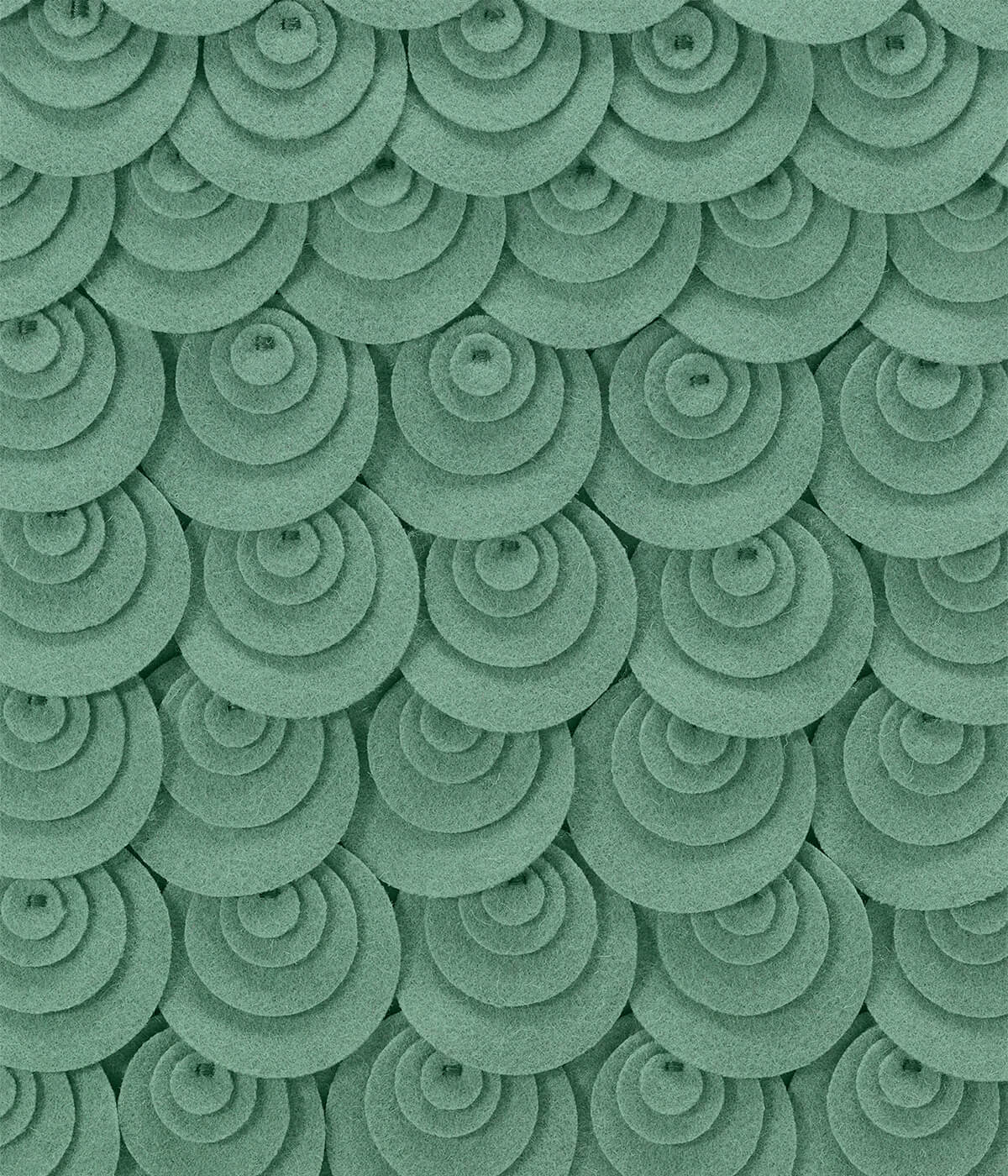 eucalipto