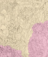 Pink Primavera Panel