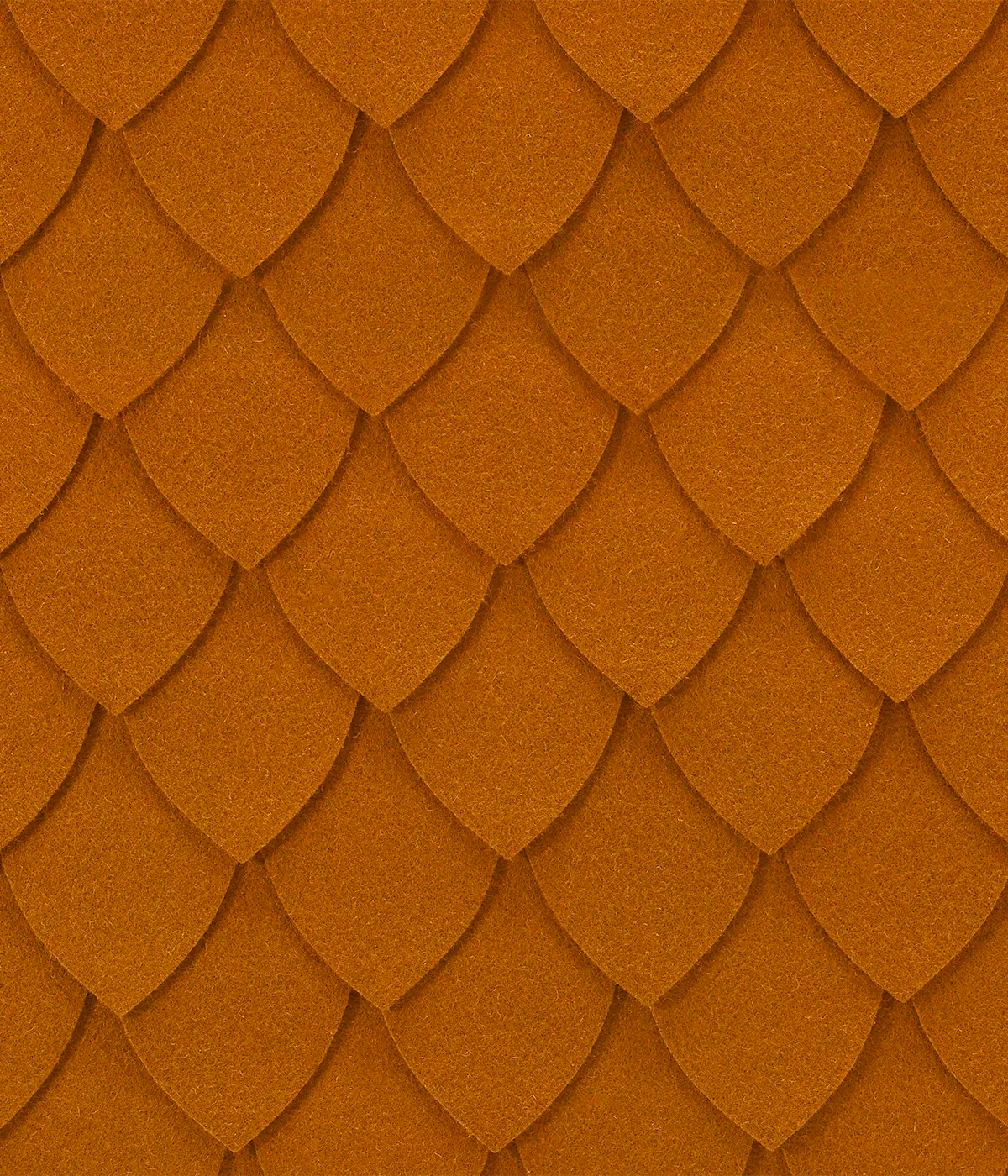 Soletus Panel