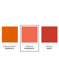 Toranja