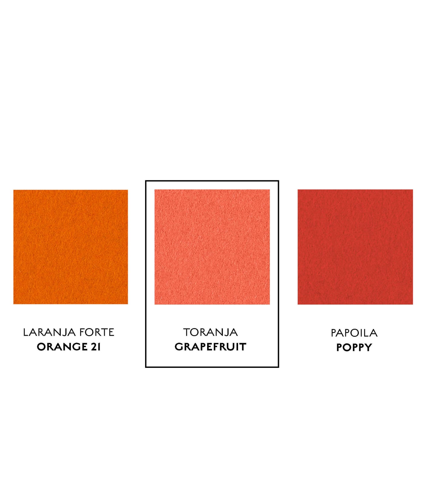 Toranja