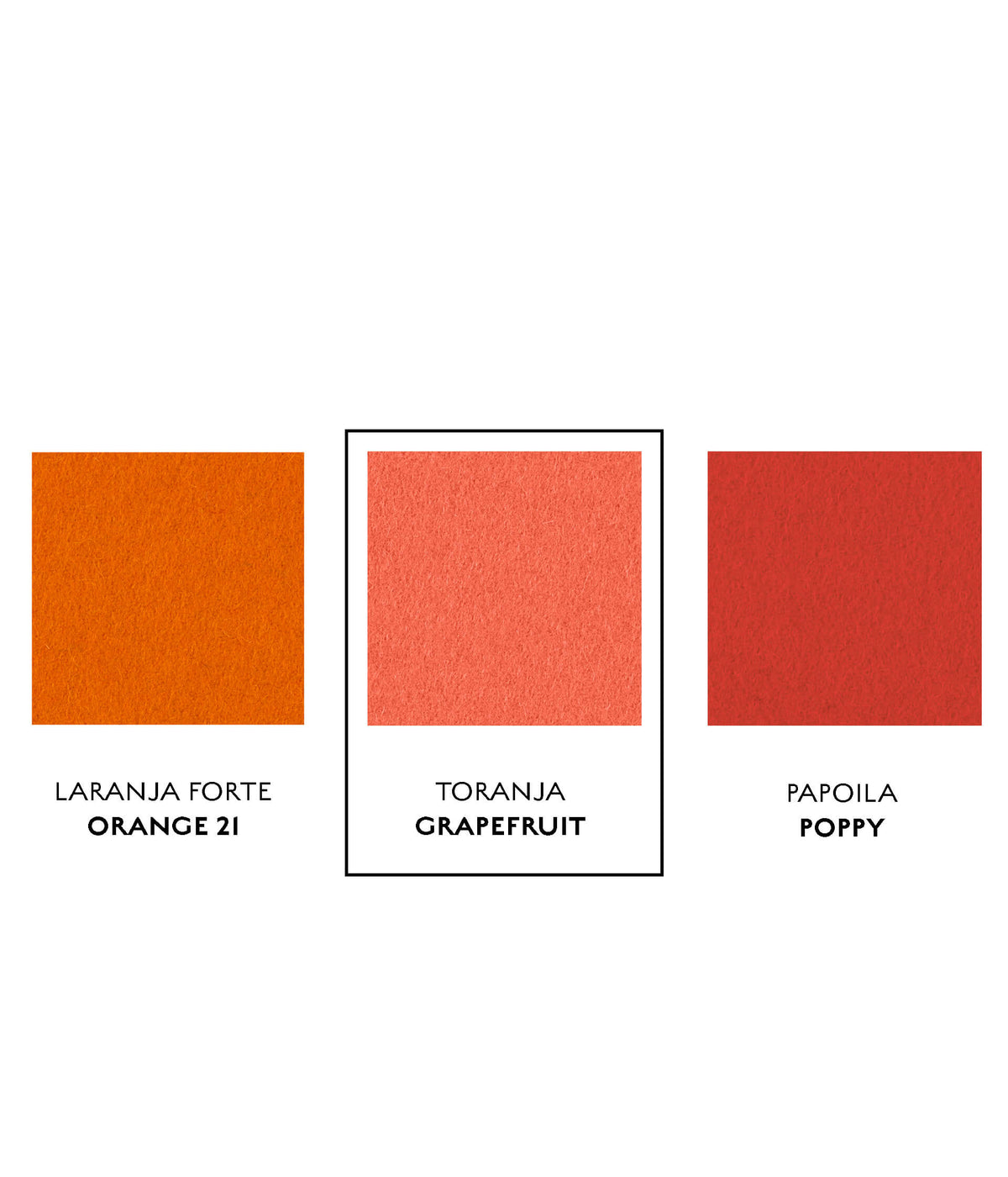 Toranja