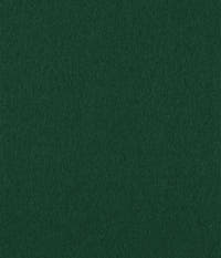 Terciopelo Verde 