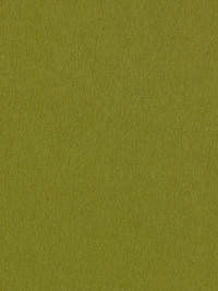 burel-wool-fabric-light-khaki-made-in-portugal