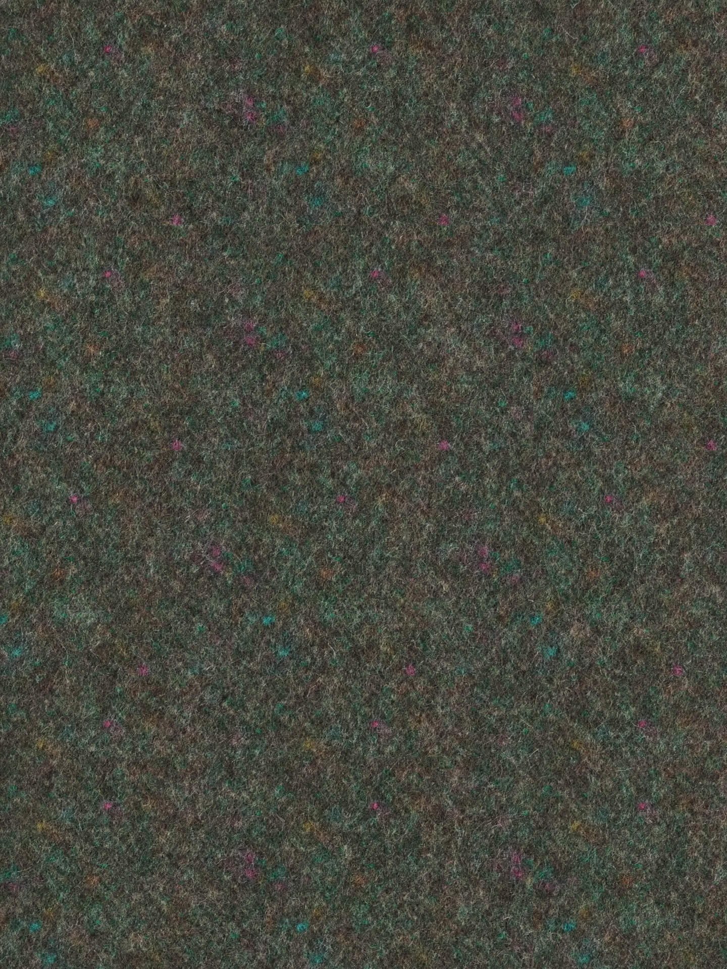Musgo